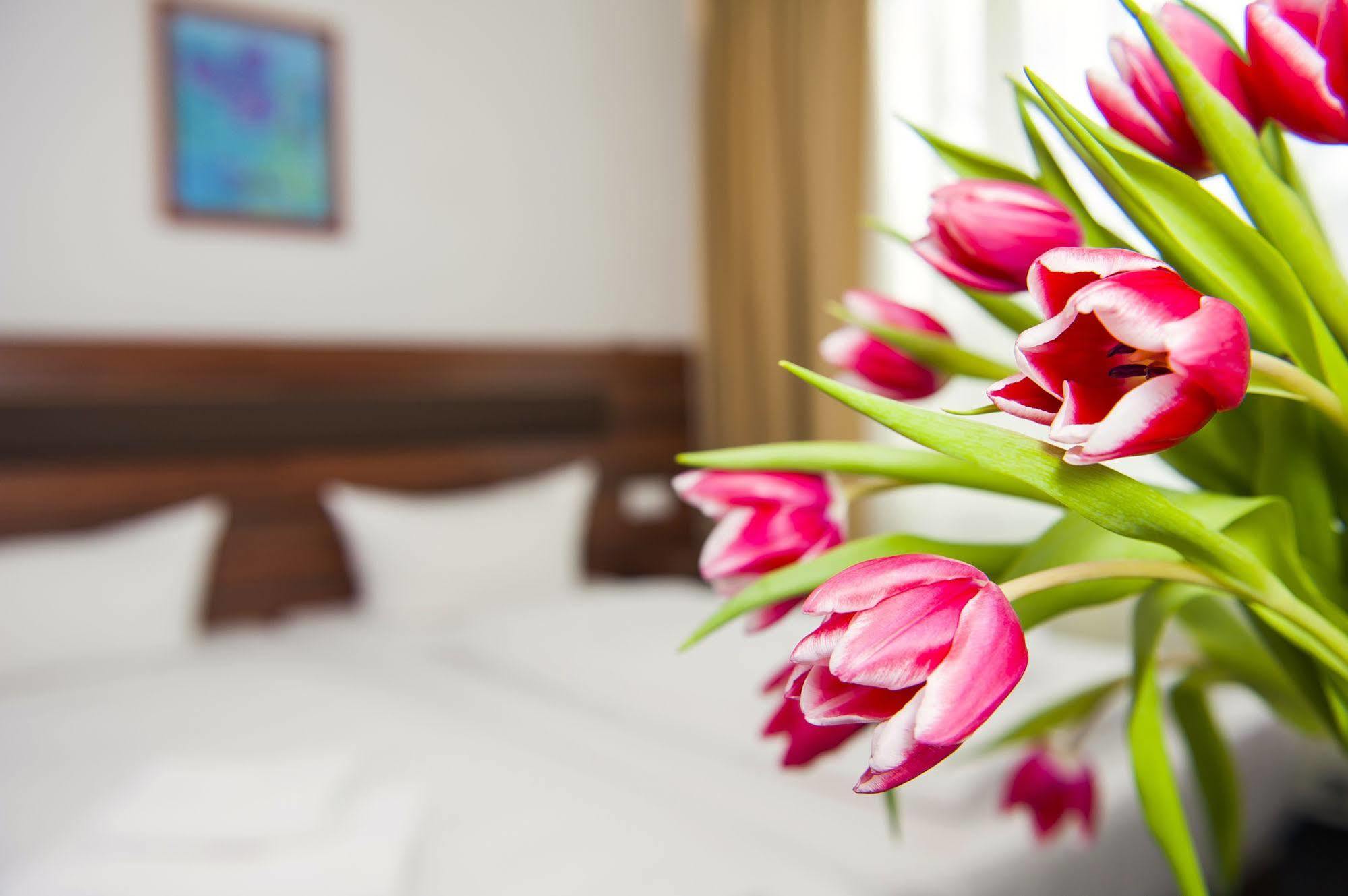Aparthotel Christie Berlin Ngoại thất bức ảnh